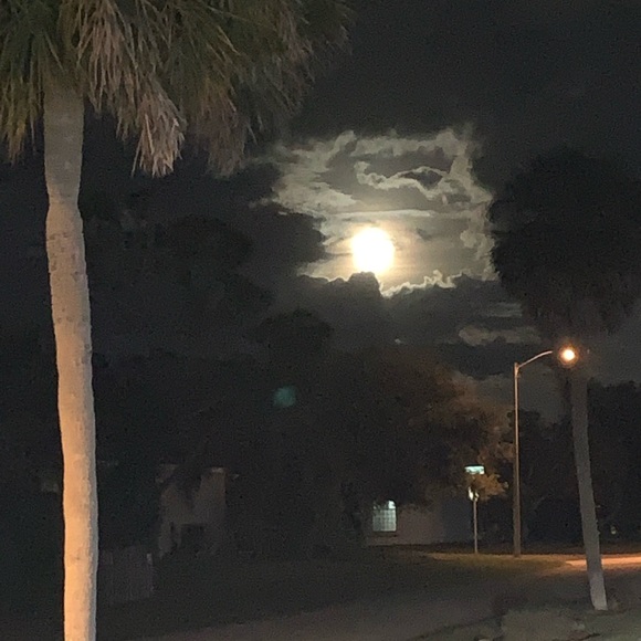 Meet your Posher, Deborah - Picture 10 of 15